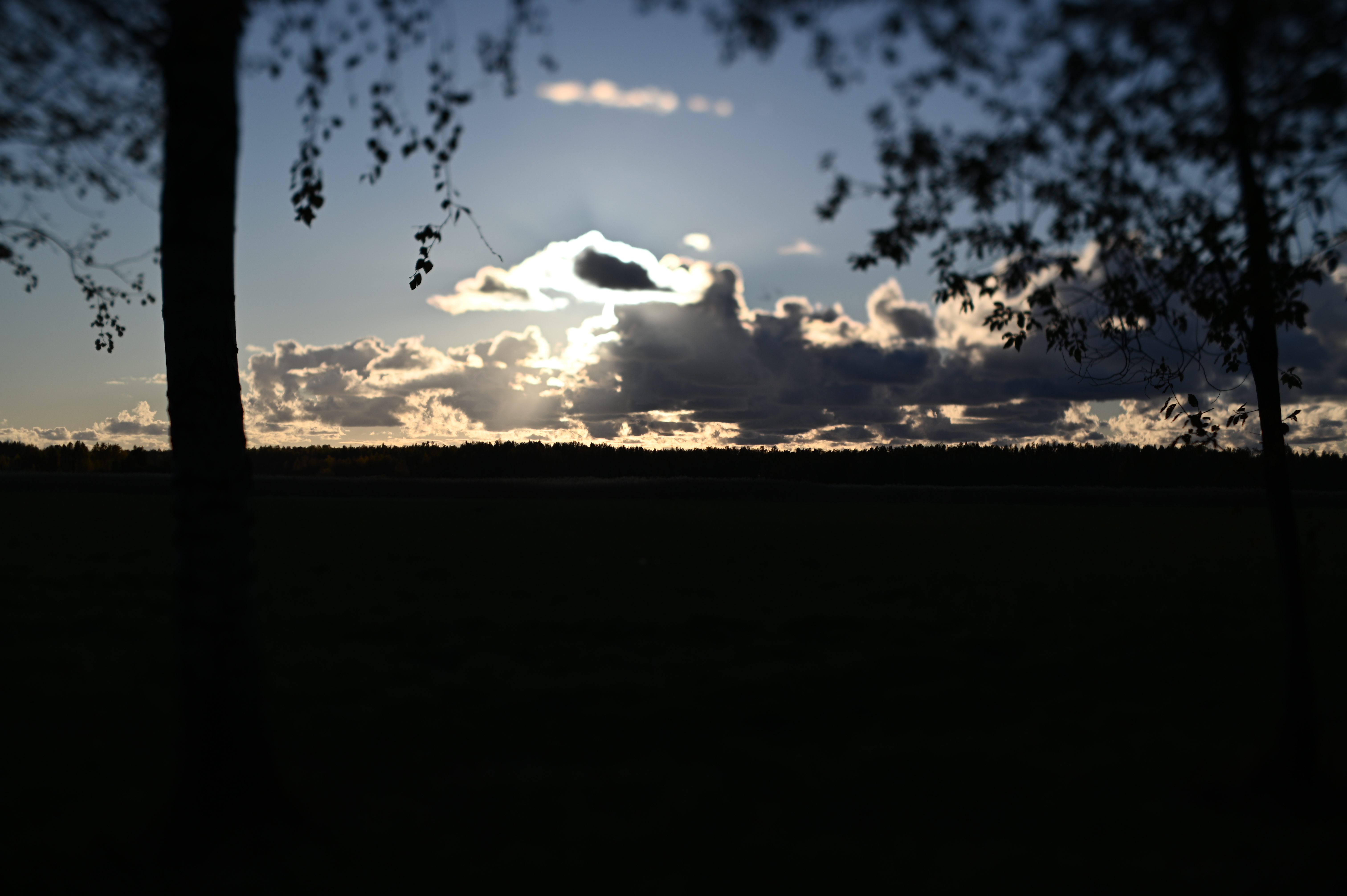 2025/10/18 - walk/DSC_0178.JPG